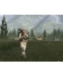 ARMA Gold Edition