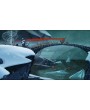 The Banner Saga