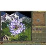Age of Wonders