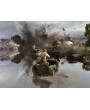 Company of Heroes Complete Pack