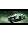 DiRT 3 Complete Edition
