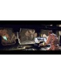 Alien Breed 3: Descent