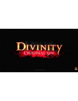 Divinity: Original Sin Enhanced Edition