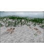 Dominions 3: The Awakening