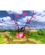 Elven Legacy Collection