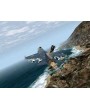 F-16 Multirole Fighter