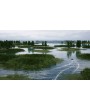 Fishing Sim World