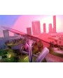Grand Theft Auto: Vice City
