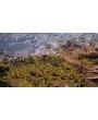 Ancestors Legacy