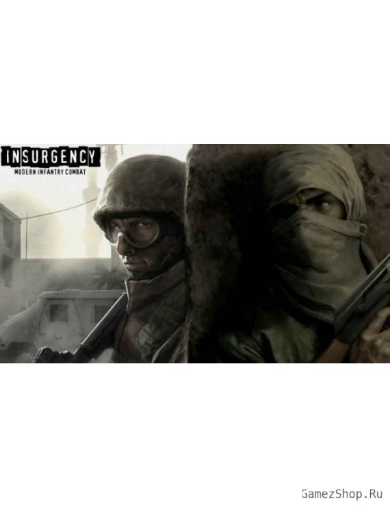 Insurgency