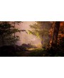 The Fabled Woods
