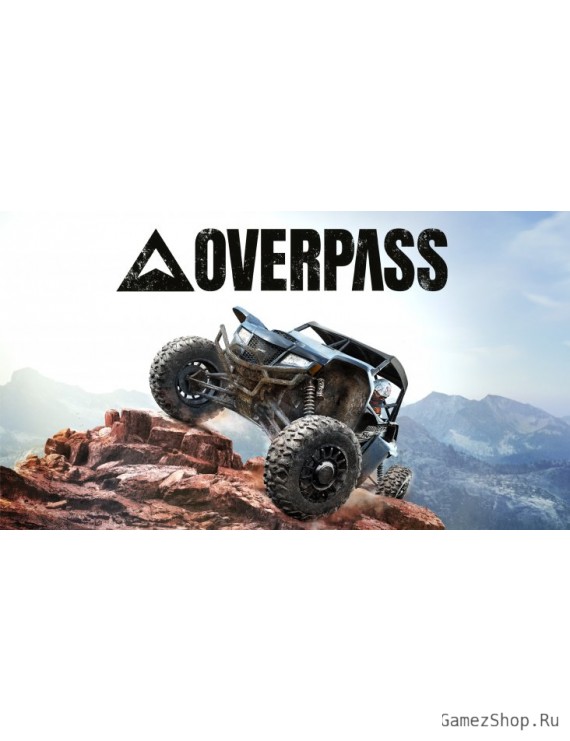 OVERPASS (Steam)