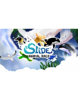 Slide - Animal Race