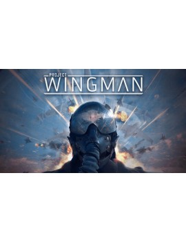 Project Wingman