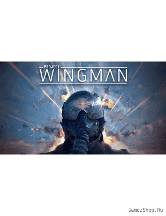Project Wingman