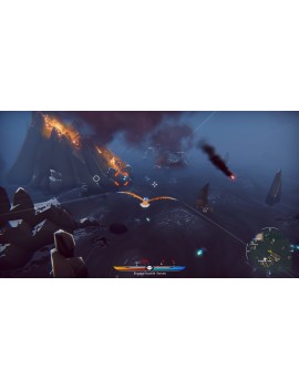 The Falconeer