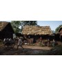 Medieval Dynasty