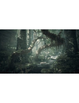 Ancestors: The Humankind Odyssey (Steam)