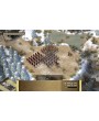 Praetorians HD Remaster