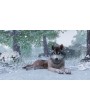 Planet Zoo Deluxe Edition