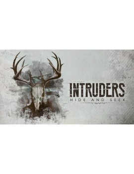 Intruders: Hide and Seek