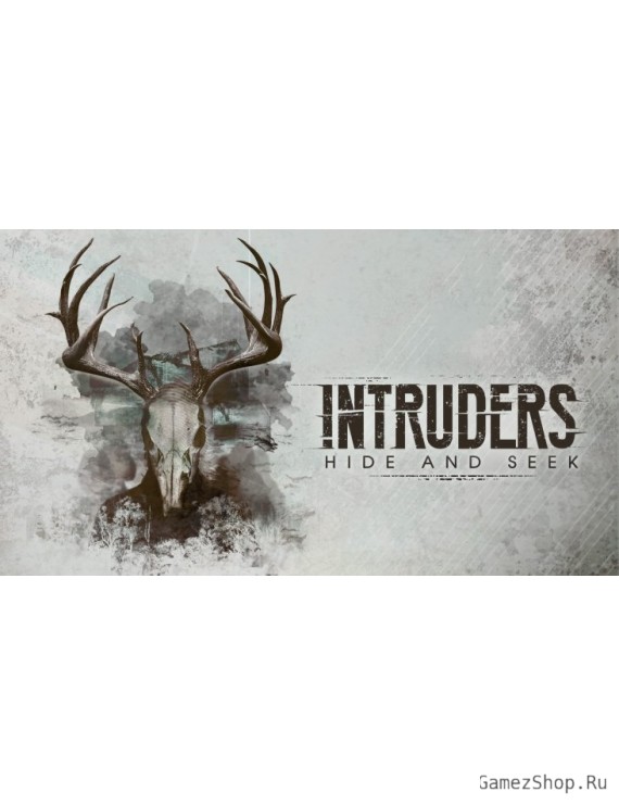 Intruders: Hide and Seek
