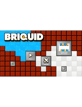 Briquid