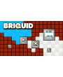 Briquid