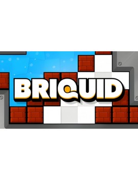 Briquid