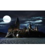 LEGO Harry Potter Years 1-4