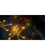 MetaMorph: Dungeon Creatures