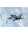 MiG-29 Fulcrum