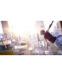 Mirror's Edge: Catalyst