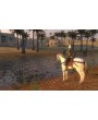 Mount & Blade Collection