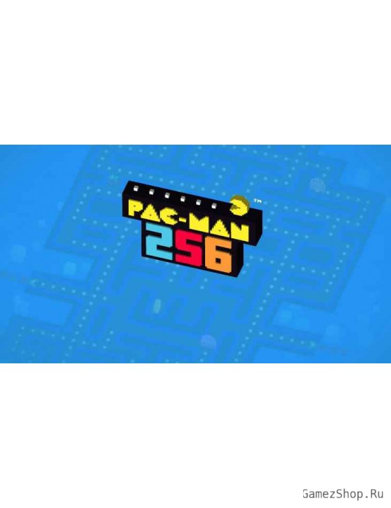 Pac-man 256