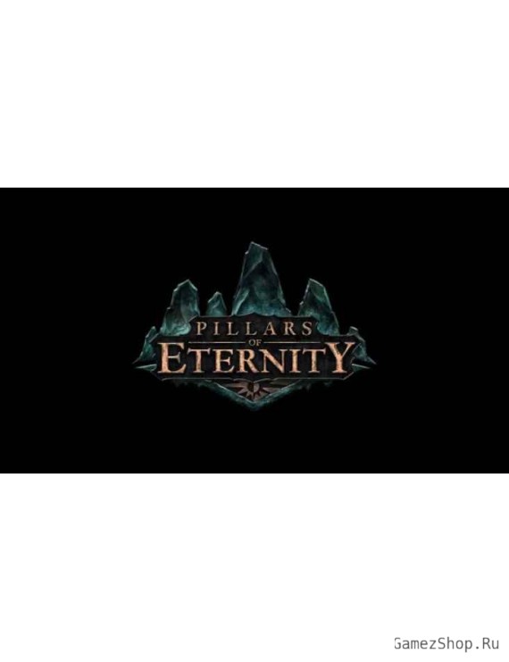 Pillars of Eternity Hero Edition