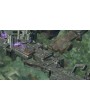 Pillars of Eternity II: Deadfire