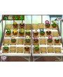 Plants vs. Zombies GOTY Edition