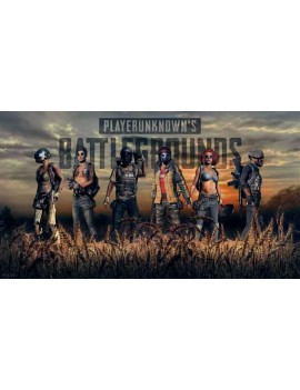PUBG (Steam Gift СНГ)