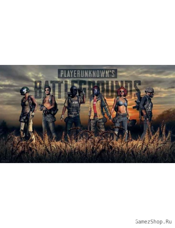 PUBG (Steam Gift СНГ)