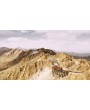Railway Empire: Crossing the Andes