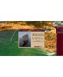 Rise of Venice - Beyond the Sea