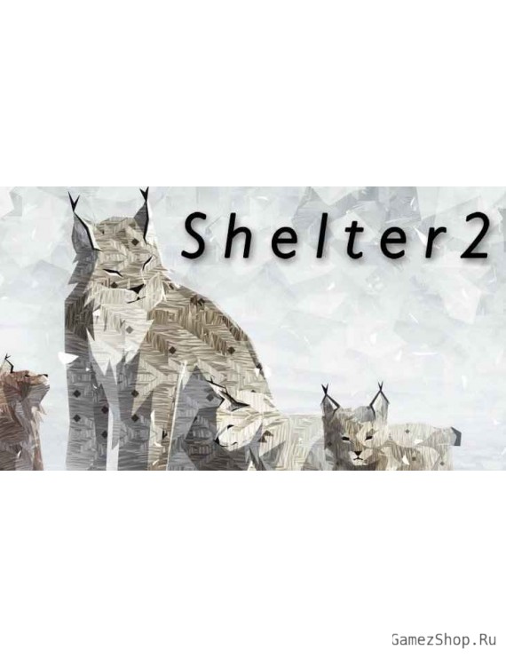Shelter 2