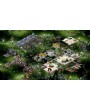 Space Colony: Steam Edition