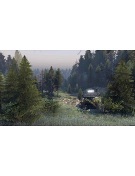 Spintires