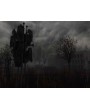 S.T.A.L.K.E.R.: Call of Pripyat