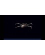 STAR WARS X-Wing Special Edition