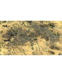 Stronghold Crusader 2