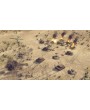Sudden Strike 4 - Africa: Desert War