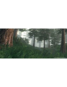 The Elder Scrolls IV. Oblivion Game of the Year Edition